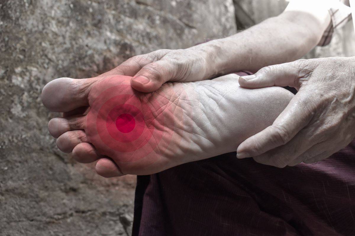 leg paw pain