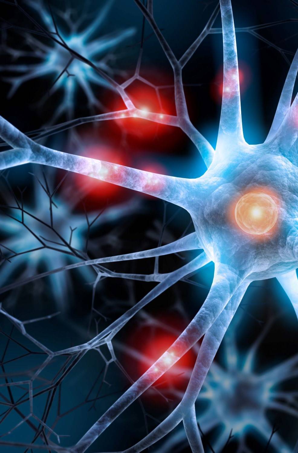 Accelerate Medical Nerve